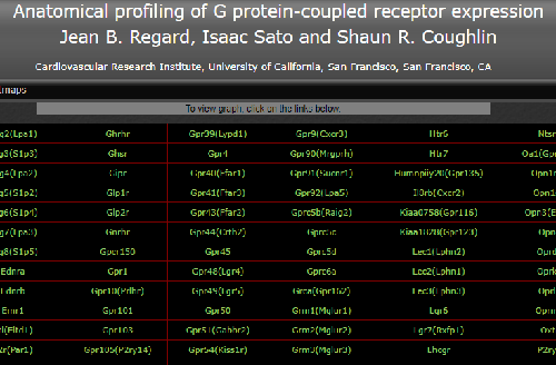 gpcr site